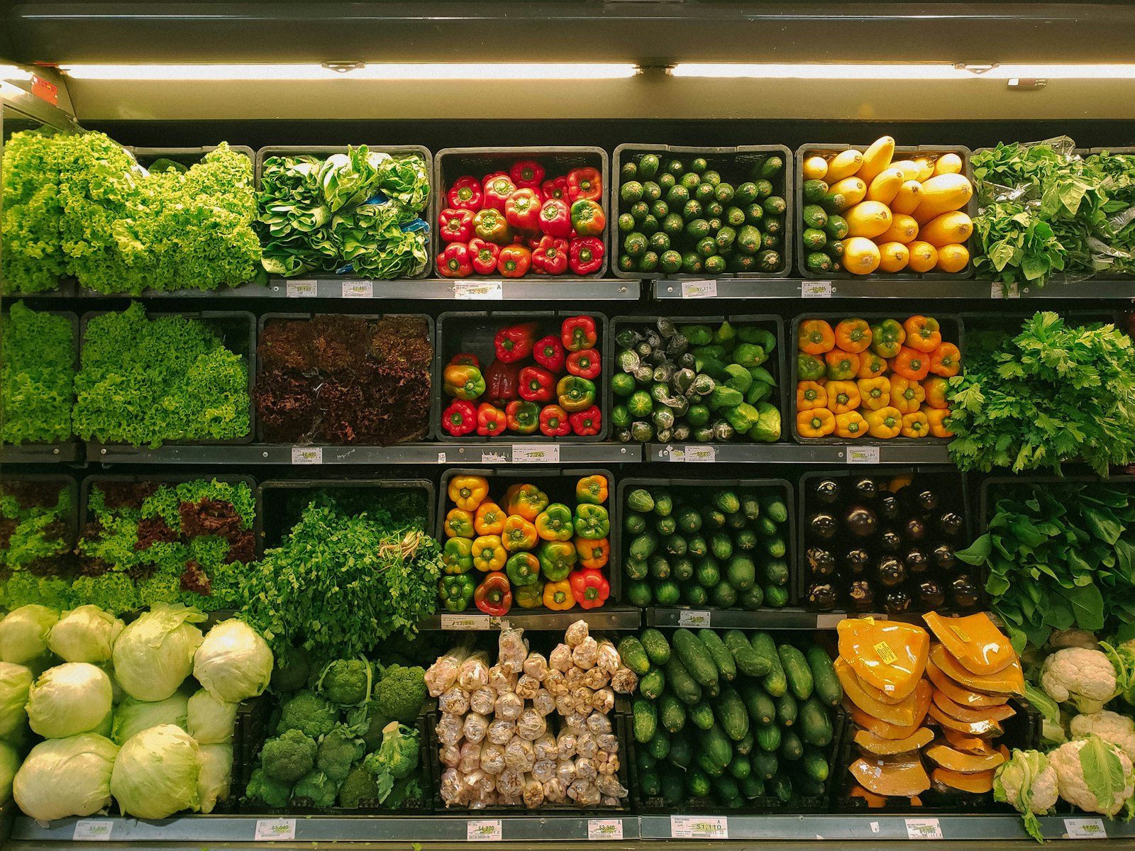 Fresh Organic Market Scales to 2,000+ Monthly Orders with Automated Invoicing